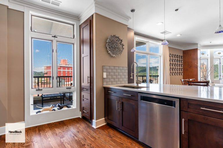 Battery Park Kitchen Remodel